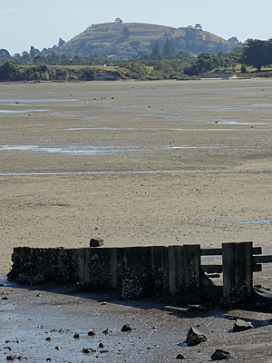 Mt Wellington from Tahuna Torea Reserve - Auckland - 16 February 2014 - 17:02