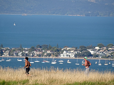 Mt Wellington - Auckland - New Zealand - 18 February 2015 - 17:54