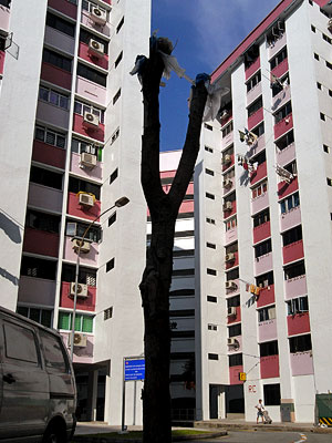 Block 49 &amp; 50 - Lengkok Bahru - Singapore