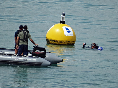 Stanley Point - Auckland - 5 February 2014 - 12:07