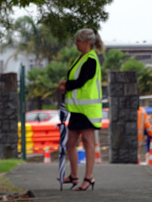 Albany Highway - Auckland - New Zealand - 20 February 2015 - 15:18