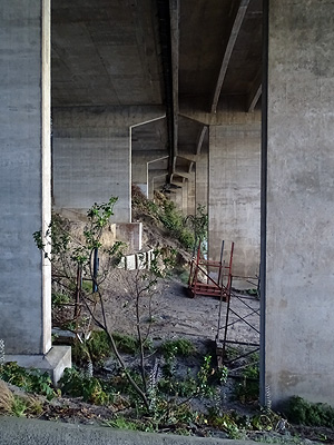 Northern approach to harbour bridge - Northcote Point - Auckland - New Zealand - 28 January 2015 - 6:14