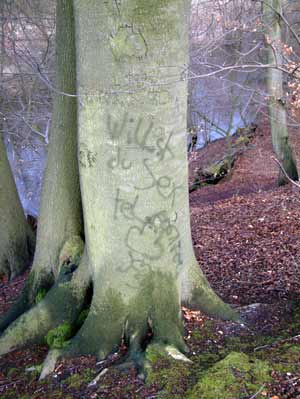 wald oberalster