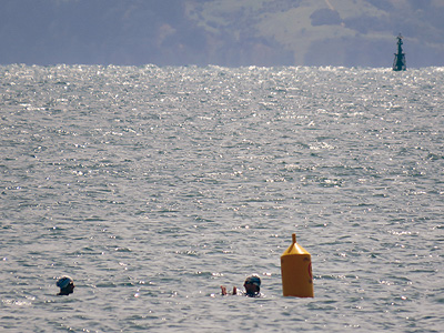 Takapuna Beach - Auckland - New Zealand - 14 December 2015 - 10:40