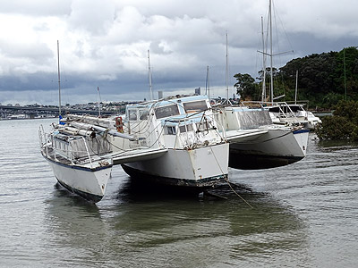 Little Shoal Bay - Northcote Point - Auckland - 11 December 2014 - 12:37