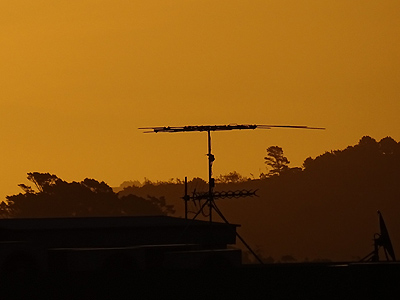 Apollo Drive - Mairangi Bay - Auckland - New Zealand - 14 January 2015 - 20:29