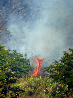 Grass Fire - Nausori Highlands - Viti Levu - Fjii Islands - 21 July 2010 - 14:05