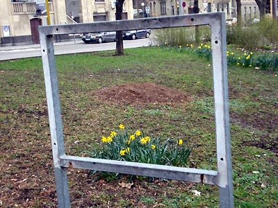 mal wieder die Osterglocken