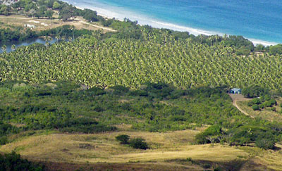 Plantation - Natadola Bay - Viti Levu - Fiji Islands - 27 June 2010 - 10:30