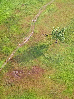 Pfad, Baum und Schatten - Lavender Street - Singapore - 20090823 - 8:00