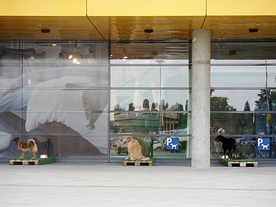 dog parking, berlin tempelhof