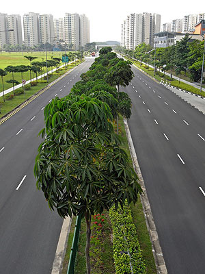 Punggol Central - Singapore - 20090427 - 10:30