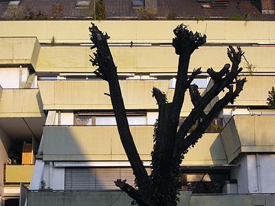 Hügelhaus - Rebstockweg - Freiburg-Tiengen - 10 April 2010 - 18:50