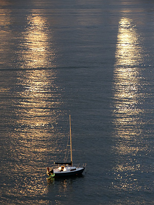 Stanley Bay - Waitemata Harbour - Auckland - New Zealand - 9 March 2014 - 7:29