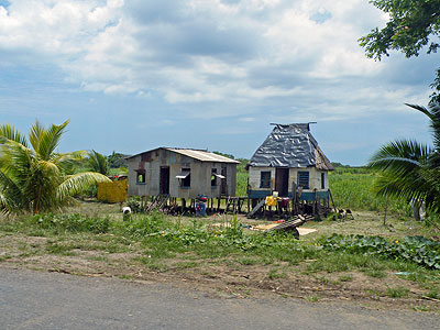 Kings Road - Nabuna - Fiji Islands - 17°26'28.19&quot;S - 177°52'38.17&quot;E - 20091021 - 11:55