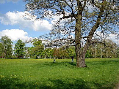 Rosensteinpark