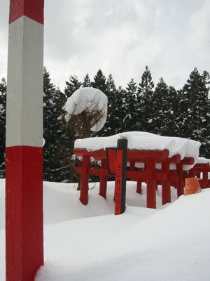 eine Reihe von Torii im Schnee versunken mit Schneepflugleitpfosten