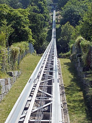 Stadtgarten - Schlossberg - Freiburg - 27 July 2012 - 12:33