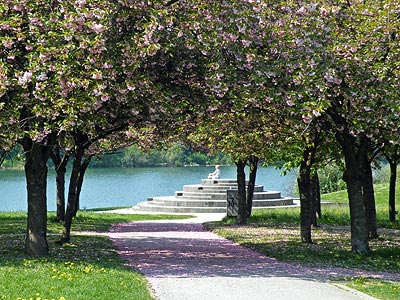 Siedlerweg - Seepark - Freiburg - 20 April 2011 - 12:10