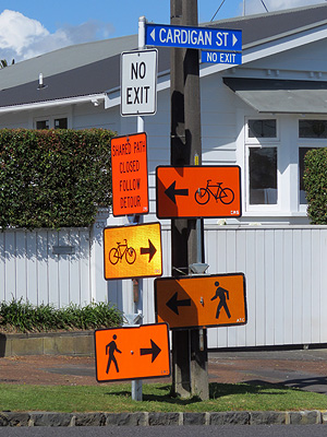 Cardigan Street x Myrtle Street - Western Springs - Auckland - New Zealand - 18 December 2015 - 10:01