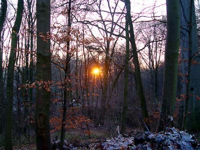 aaper wald, düsseldorf