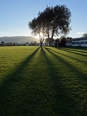 School grounds - Beach Road - Katikati - New Zealand - 30 April 2014 - 16:53