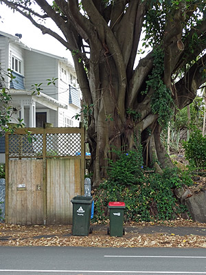 New North Road - Mt Albert - Auckland - 11 February 2014 - 15:10