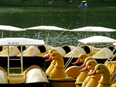 Tretboote - Lumpini Park - Bangkok - Thailand - 20090509 - 17:25