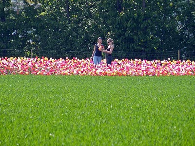 Ortseinfahrt - Freiburg-Tiengen - 20 April 2011 - 14:49