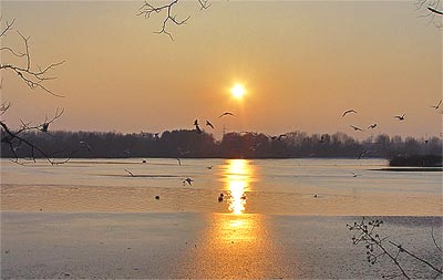 unterbacher see