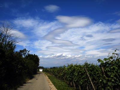 Schon wieder Ufos