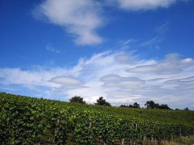 Ufos überm Weinberg