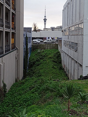 Randolph Street - Newton - Auckland - New Zealand - 18 June 2015 - 7:55