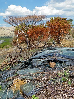 Windscreen Heaven - Nacilau Point - Viti Levu - Fiji Islands - 23 August 2010 - 13:36