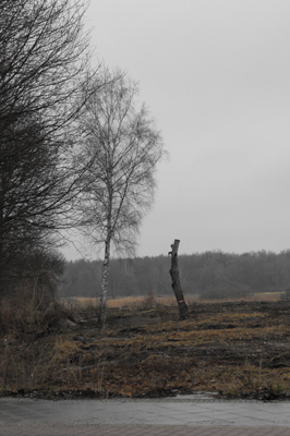 Ehemals Kleingartenkolonie Grenzland