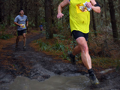 Riverhead Forest - Auckland - New Zealand - 29 May 2016 - 11:00