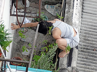 Combining gardening with yoga keeps you fit - Sukhumvit 105 Lasalle - Soi 33 - Bang Na - Bangkok - 5 May 2013 - 9:09