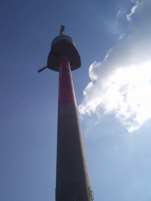 dturm01