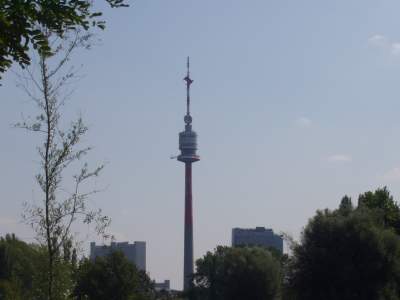 dturm02