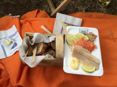 les frotteurs und mc picknicken im IF Vienne 27.6