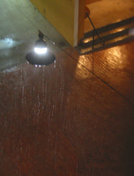 courtyard in sudden rain, midnight