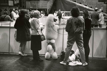 Birmingham, England (Elliott Erwitt)