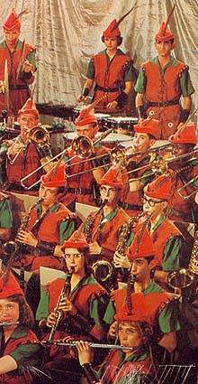 The Incomparable Robin Hood Band