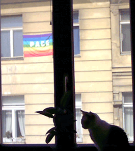 friedlicher blick aus dem schlafzimmer