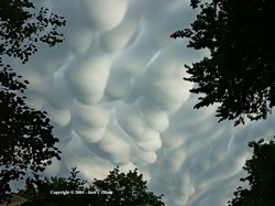 Mammatus Clouds