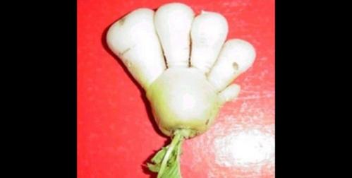 2 years after nuclear disaster, Japan spawns freaky fruits and veggies