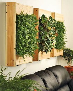 Stylish Indoor Living Wall Planter is a Dramatic Home Accent