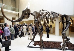 Mammoth skeleton sets auction record