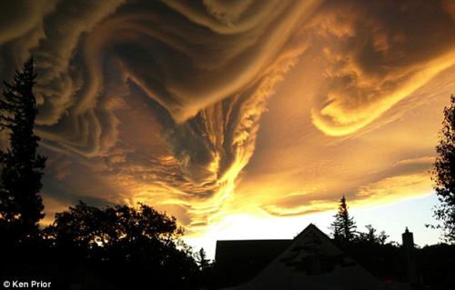 Asperatus