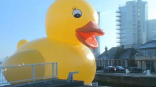 Giant yellow duck explodes in Taiwan…again